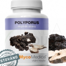 Polyporus - 90 kapsúl